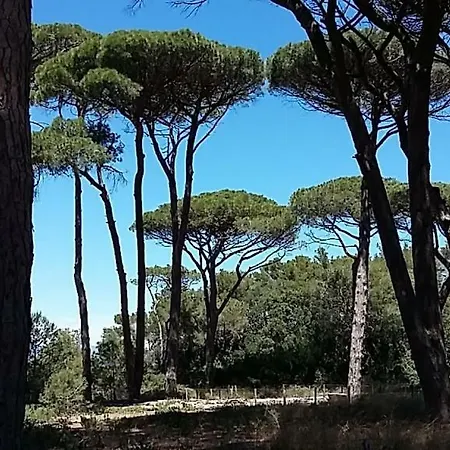 Prázdninový dům Les Maisons De La Plage *
